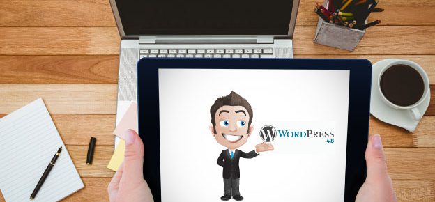 WordPress Pro: come gestire il tuo sito web a livello professionale