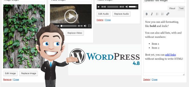 WordPress 4.8: tutte le novità per gli utenti e per gli sviluppatori