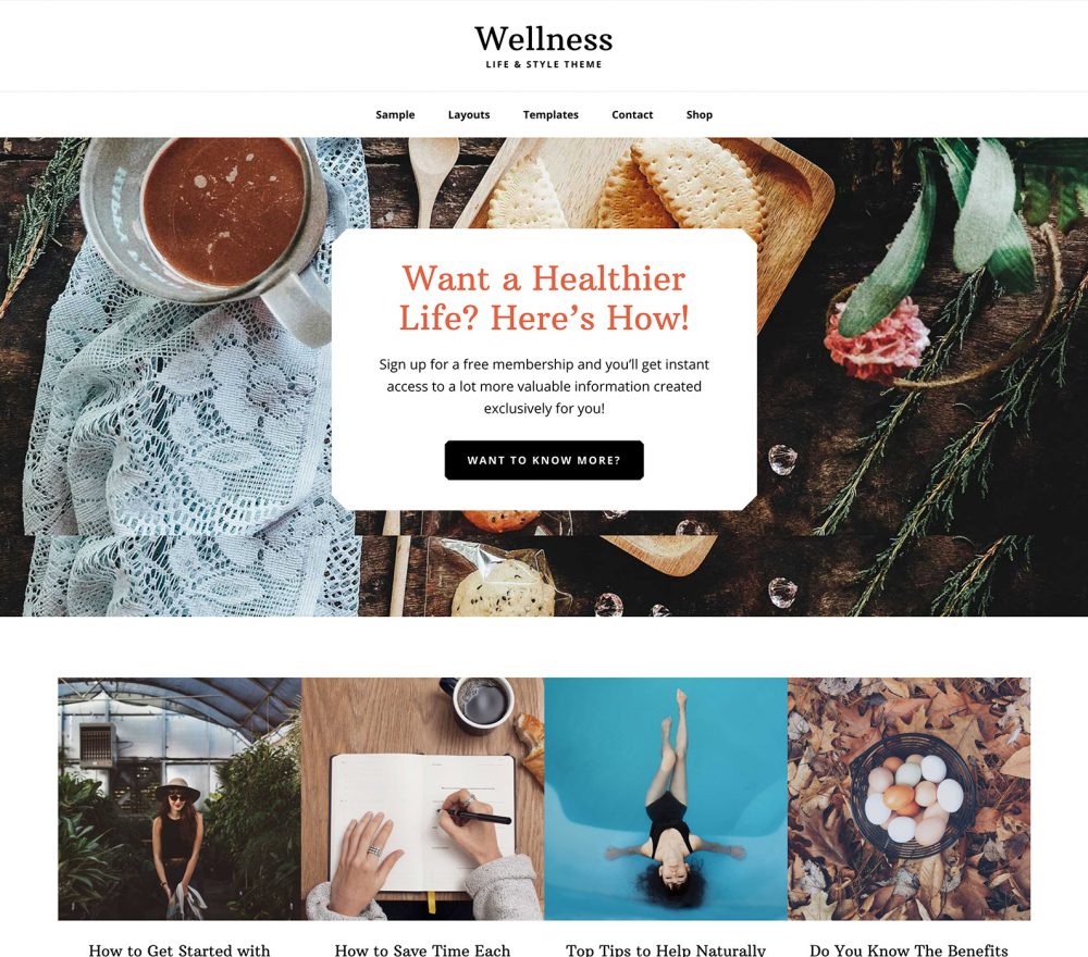 wellness-pro